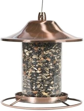 Amazon Com Hanging Bird Feeder Metal Squirrel Proof Seed Outdoor