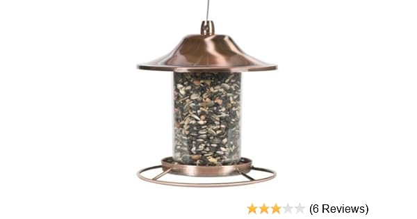 Amazon Com Hanging Bird Feeder Metal Squirrel Proof Seed Outdoor