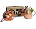 Moscow Mule Copper Mugs - Set of 2-16 Oz - 4 inches height - Heavy Weight (compare) - 100% solid copper mugs - Copper cups Hammered Finish - Perfect copper moscow mule set gift