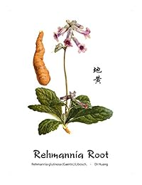 Dragon Herbs Rehmannia Six Combination - 400 mg - 100 Cápsulas vegetarianas