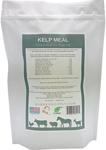 Premium Organic Kelp Meal