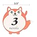 Baby  Milestone Stickers - Baby Monthly Stickers for Boys or Girls - First Year Baby Stickers -Baby Onesie Stickers for Baby Milestones - by Alganori (TM)