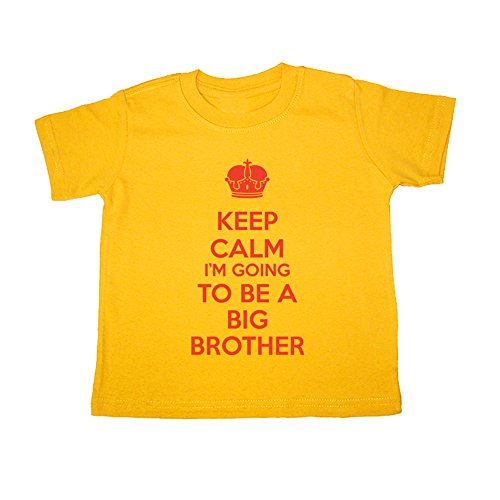 big brother 18 month shirt
