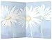 Tree-Free Greetings - All Occasion Cards - Artful Designs - 12 Greeting Cards + White Envelopes - Made in USA - 100% Recycled Paper - 4 x 6 - Daisies on Blue (FS66585)