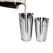 10-Piece Cocktail Shaker Set - Bar Tools - Stainless Steel Professional Bartender Kit, With All Bar Accessories, Cocktail Strainer, Double Jigger, Bar Spoon, Muddler, Bottle Opener.