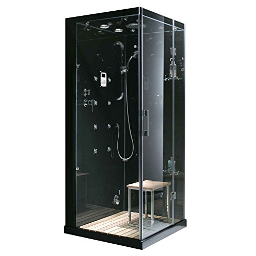 personal steam shower