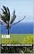 Livro a Ilha: - (poema)