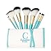 Carmindy & Co. 8-Piece Brush Kit