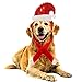 Mihachi Dog Christmas Costume Xmas Headband & Scarf Set - Holiday Party Costumes Wearable Accessory