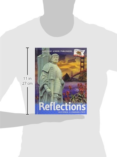 Reflections 8th grade math practice picture