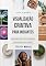 Livro Visualização Criativa para Iniciantes