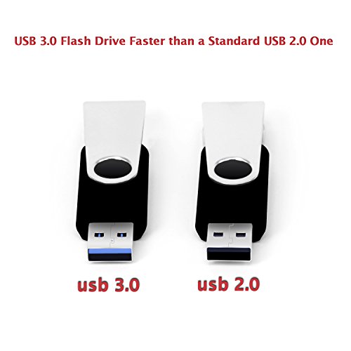 1 256GB+Flash+Swivel+Memory+Stick
