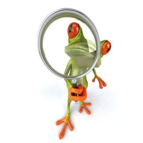 SKS Distribution® 3D Detective Magnifying Glass Frogs Funny Car Stickers car styling vinyl decal sticker decoration High temperature & water Proof