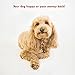 28x35 Khaki Super Value Pet Dog Bed By Majestic Pet Products Medium