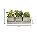 MyGift Set of 3 Realistic Artificial Succulent Plants w/Rustic Style Wood Square Pots & Rectangular Tray