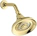 KOHLER K-10284-PB Forte Multifunction Showerhead, Vibrant Polished Brass