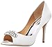 Badgley Mischka Women's Lavender II Dress Pump