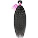 Ombre Braiding Hair 5 Packs Kanekalon Braiding Hair Extension for Braid Jumbo Braiding Hair 24 Inch (5 pack, black 99j)