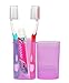 JAVOedge Purple Travel Toothbrush / Toothpaste Plastic Storage Box (Box Only) for Vacation , Business, Over Night