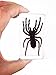 QTMY Biology Science World Collection of Real Insect Specimen Paperweight (Black Moss Spider(Tarantula))