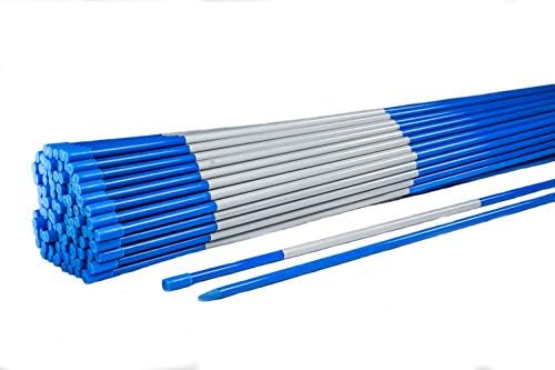 Driveway Markers, PRO Snow Stakes Reflective with Armor Cap, 4 Ft, 5/16โ (10 Pack, Blue)
