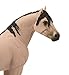 Safari Mustang Mare