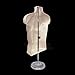 Male Mannequin Torso, Dress Form Hollow Back Body or Tshirt Display, w/Economic Plastic Stand for Counter or Hanging by EZ-Mannequins Temporal Photos or Design, Easy to Assemble and Store, S-M Sizes.