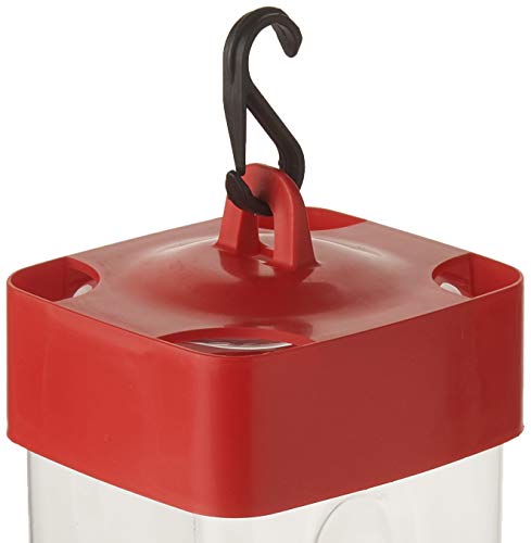 First Nature 32oz Hummingbird Feeder 2 Pack Import It All