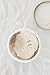 Miss Mustard Seed's MilkWax - Wax for Furniture, Wood, Cabinets, and Walls, Premium Quality, Low Odor (Clear, 8 oz)