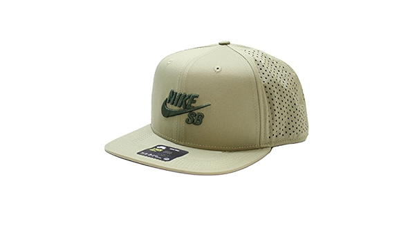 nike sb 2018 gorras