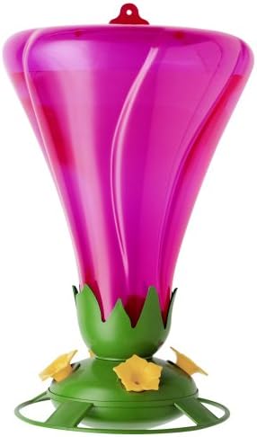 Amazon Com Garden Song 456 6 48 Ounce Hibiscus Hummingbird