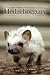 The Hedgehoggiary by