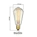 Original Edison Vintage Bulbs - 6 pack - Blaze Bulbs - 60W Incandescent Industrial Bulb - 250 lumens - Clear Glass - Long Life Handmade ST64 Squirrel Cage - Dimmable