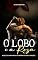 Livro O Lobo e a Rosa