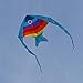 Hengda Kite Rainbow Fish Kite for Girls Boys Let Fish Swim in Sky Kite with 30m Line