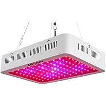 galaxyhydro 300 watt