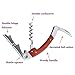 Tirain Stainless Steel Double Hinged Wine Bottle Opener with Corkscrew, Bottle Opener and Foil Cutter (carton package)