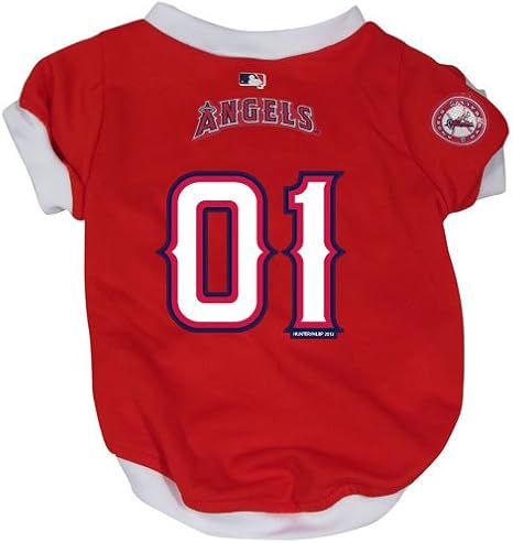 pet angels jersey