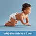 Amazon Brand - Mama Bear Best Fit Diapers Size 4, 144 Count, White Print (4 packs of 36) [Packaging May Vary]