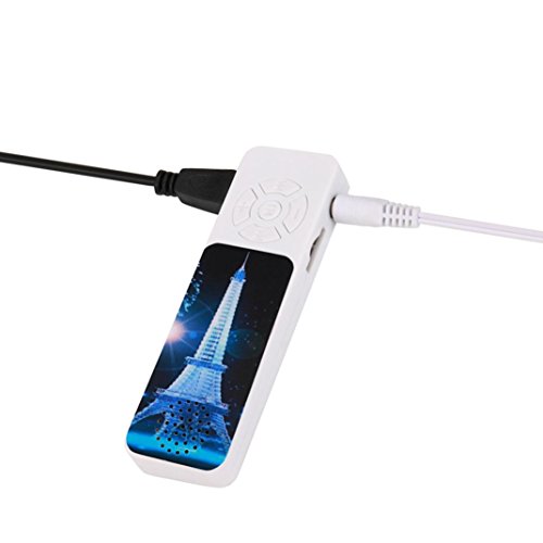 Sinwo Super USB Mini MP3 Music Digital Player Support 32GB Micro SD TF Card + Earphone (A) - Thumbnail 3
