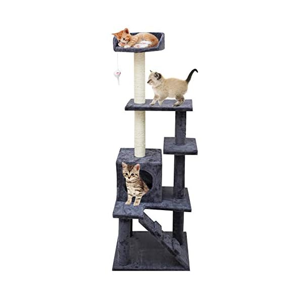 multi level cat condo