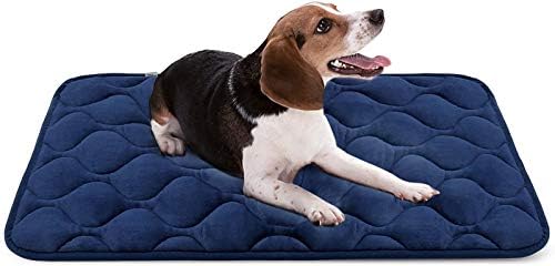 blue beagle crate mat
