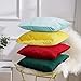 BGment Soft Velvet Cushion Cover, Decorative Square Throw Pillow Case for Sofa Car, Bedroom, Living Room, 18x18 inch - Emerald Green
