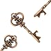 Makhry Mixed 20 Extra Large Key Shape Bottle Openers Antique Copper Skeleton Keys - 2 Styles,20 Key Openers (Antique Copper)