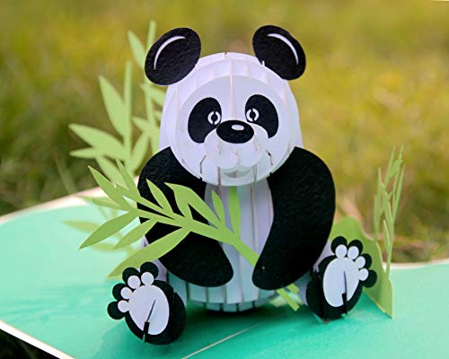 CUTPOPUP Panda Card Pop Up, Birthday Card Pop Up