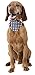 American Flag Dog Bandana 4th of July Bandana 4th of July Dog Clothes Patriotic Pet USA American Flag Bandanna - Standard Size