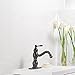 BWE Single Handle One Hole Commercial Bathroom Sink Faucet Lavatory Oil Rubbed Bronze Deck Mount