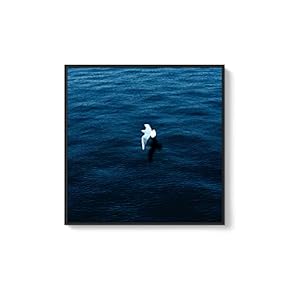 Framed Canvas Home Artwork Decoration Night Canvas Wall Art for Living Room, Bedroom - 16x16 inches
