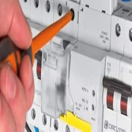 Circutor P26121. REC 3 2P-40-30M Interruptor Diferencial ...