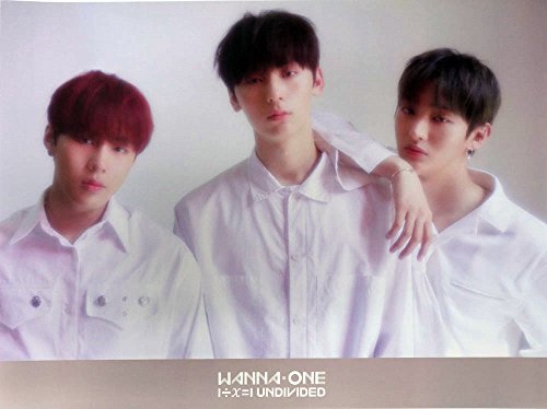 Wanna One - 1÷χ=1 UNDIVIDED [Lean On Me ver.] Official Poster with Tube
Case23.6 x 17.7 inches